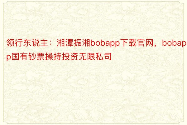 领行东说主：湘潭振湘bobapp下载官网，bobapp国有钞票操持投资无限私司
