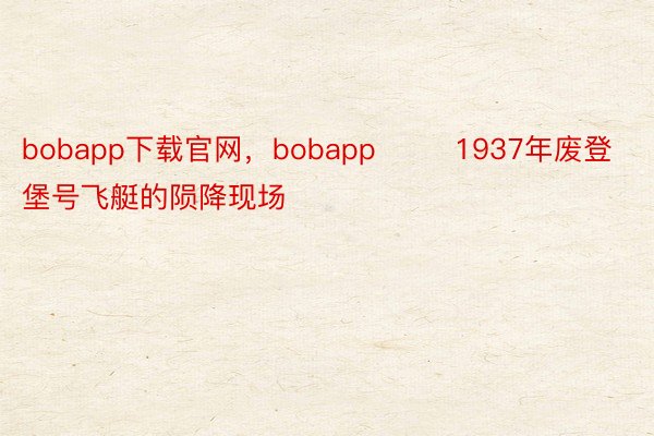 bobapp下载官网，bobapp        1937年废登堡号飞艇的陨降现场