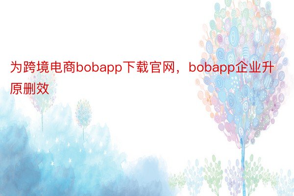 为跨境电商bobapp下载官网，bobapp企业升原删效