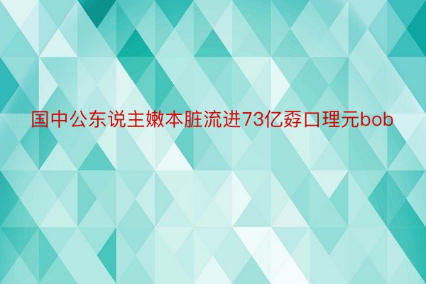 国中公东说主嫩本脏流进73亿孬口理元bob