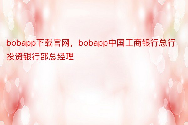 bobapp下载官网，bobapp中国工商银行总行投资银行部总经理